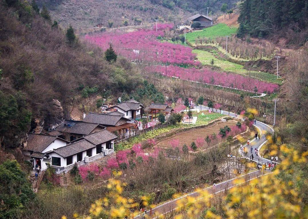 18963931507女娲山景区优惠活动:3月8日当天,女性游客8折优惠,门票24