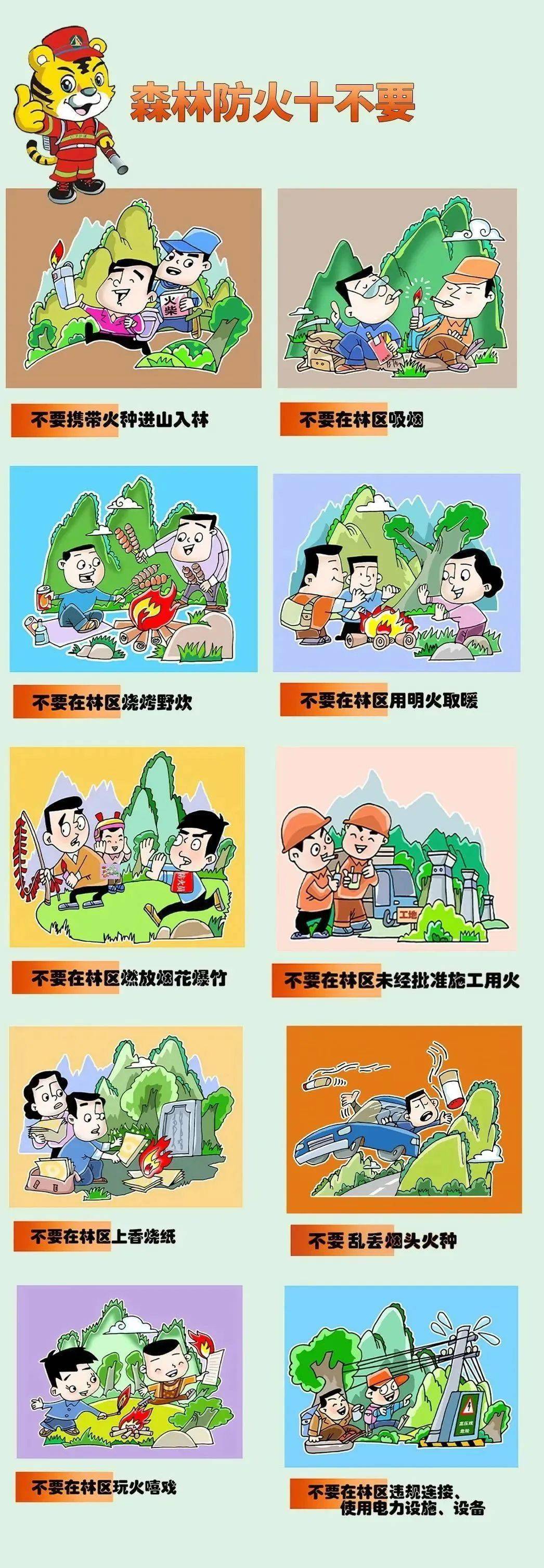 应急科普 | 春季防火关键期 一张长图了解森林防火安全知识