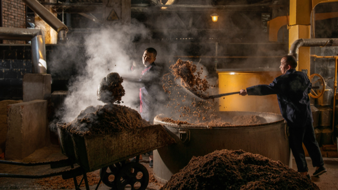 从一粒种子到一滴美酒,到"长江第一城"体验工业游_酿酒_车间_微生物