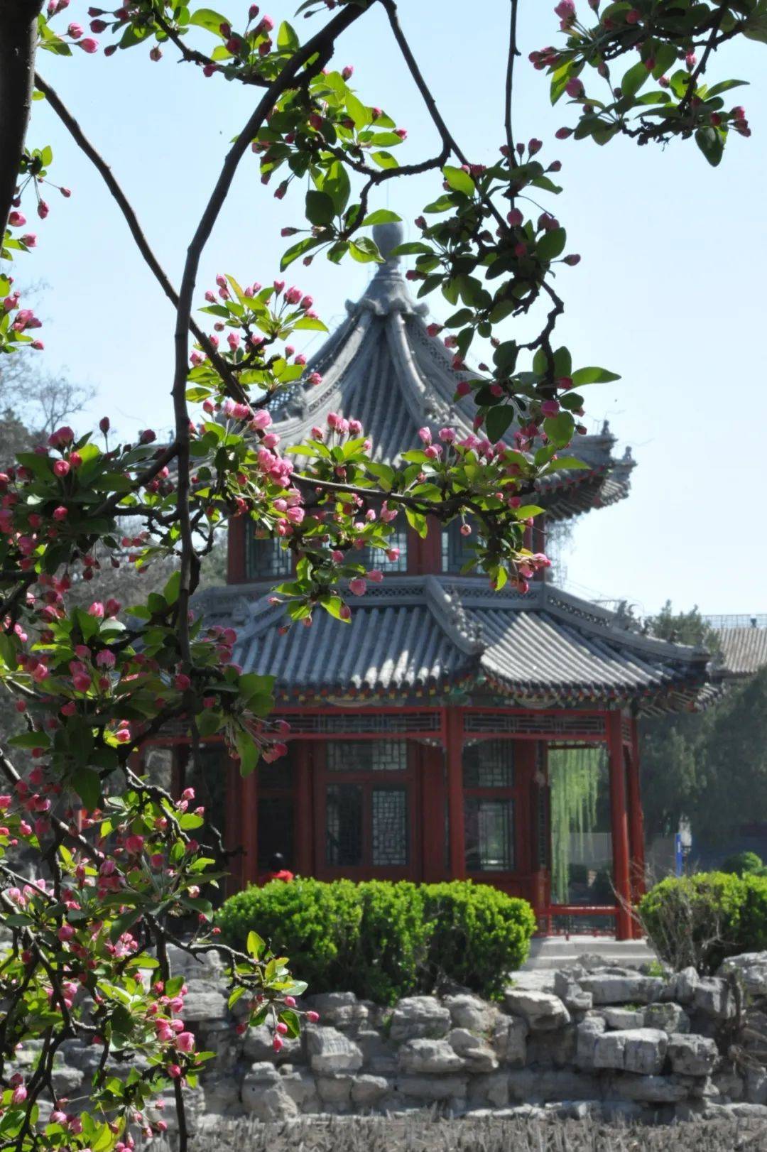 女神们古莲花池免门票啦