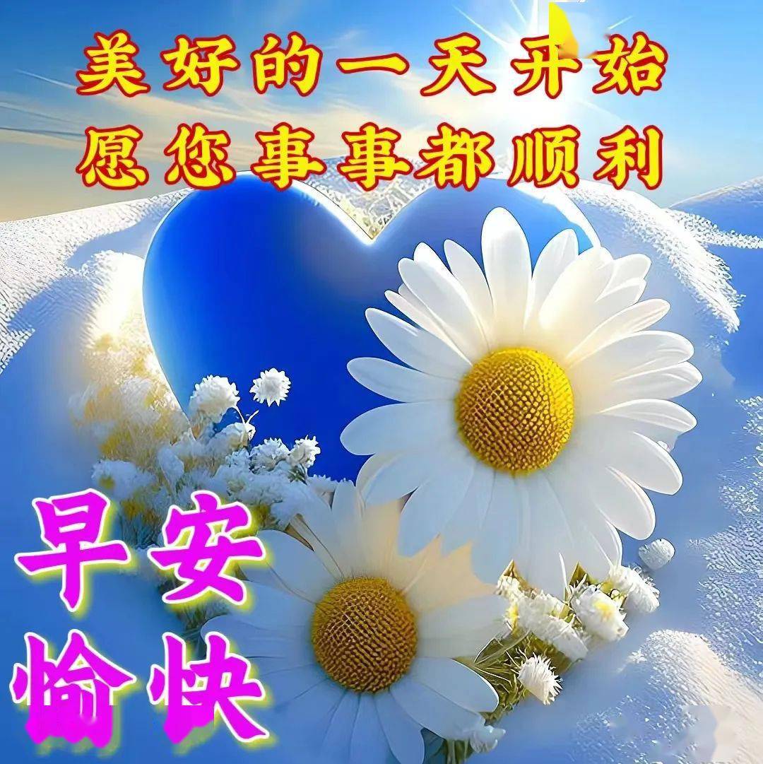 最新祝贺图片图片