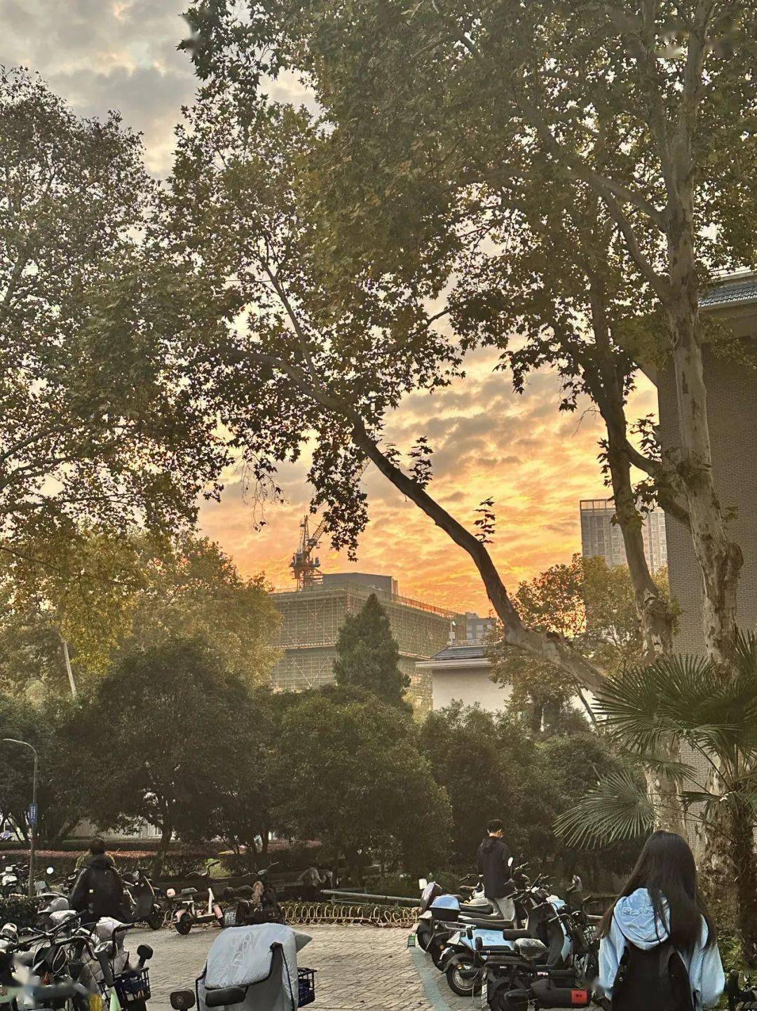 步数宝怎么刷步数_支付宝的步数如何刷_步数宝可以提现吗