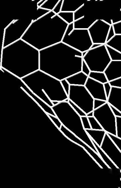 小霖,黄晓雨,刘梦琪,李虹郴4名女足队员被抽调参加四川省女足队伍集训