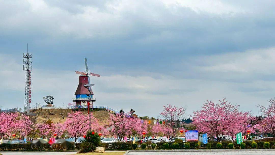 旅游走来去永安这些地方赏花去