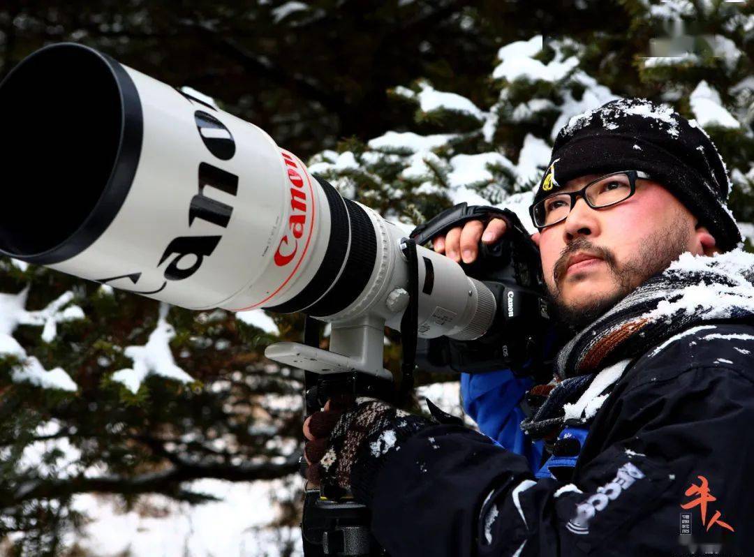 牛人姜勇追逐金丝猴探秘野人二十多年专注拍摄神农架