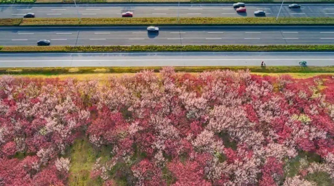 好天气回归是时候走进宜兴的春天里了
