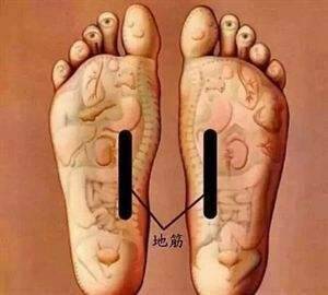 大腿_气血_功能