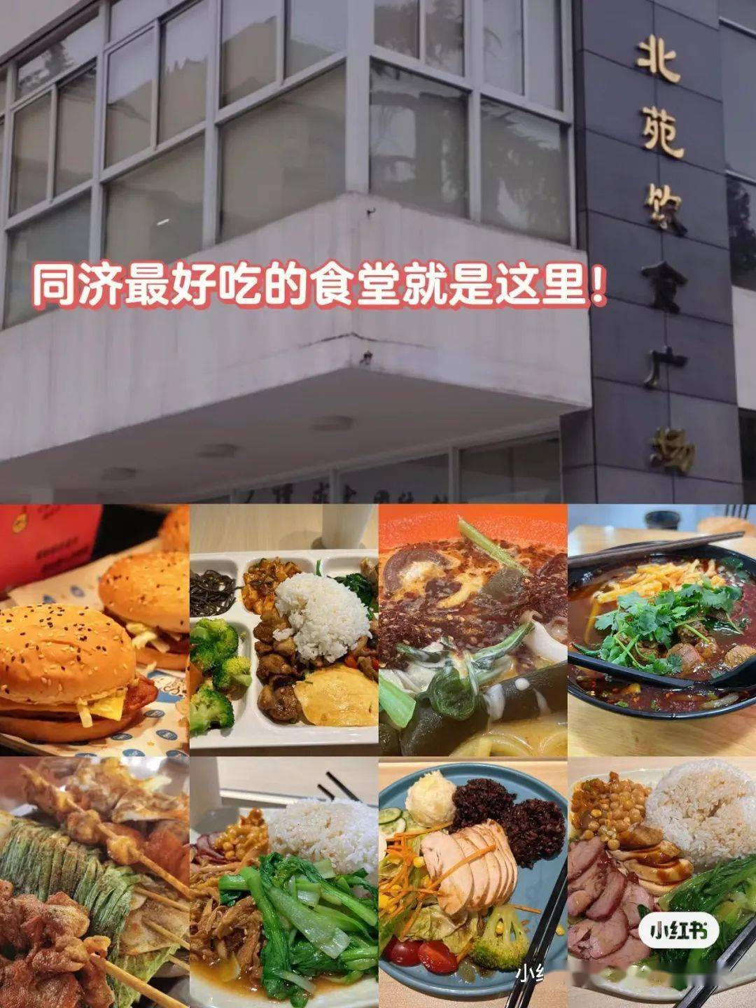 其中新北苑&老北苑算是同济大学食堂中的顶流最受欢迎的就是自选菜