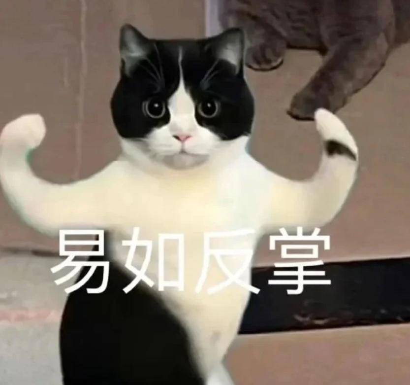 我来修理你丨第937期喵表情包