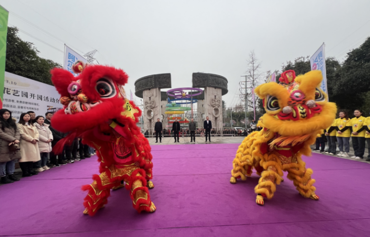 重庆巴南区：巴滨花艺园开园迎客这份花艺盛宴等你来打卡(图2)