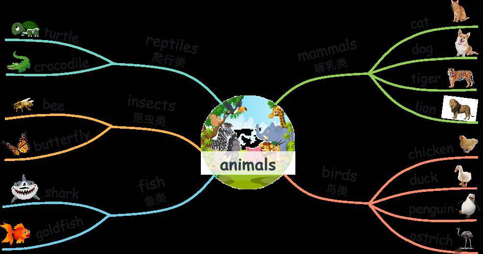 我们还可以用上思维导图,帮助孩子发散和联想同一个主题的词汇.