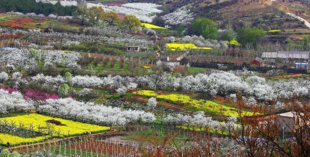 春游江淮请您来楚风汉韵山水淮南欢迎您