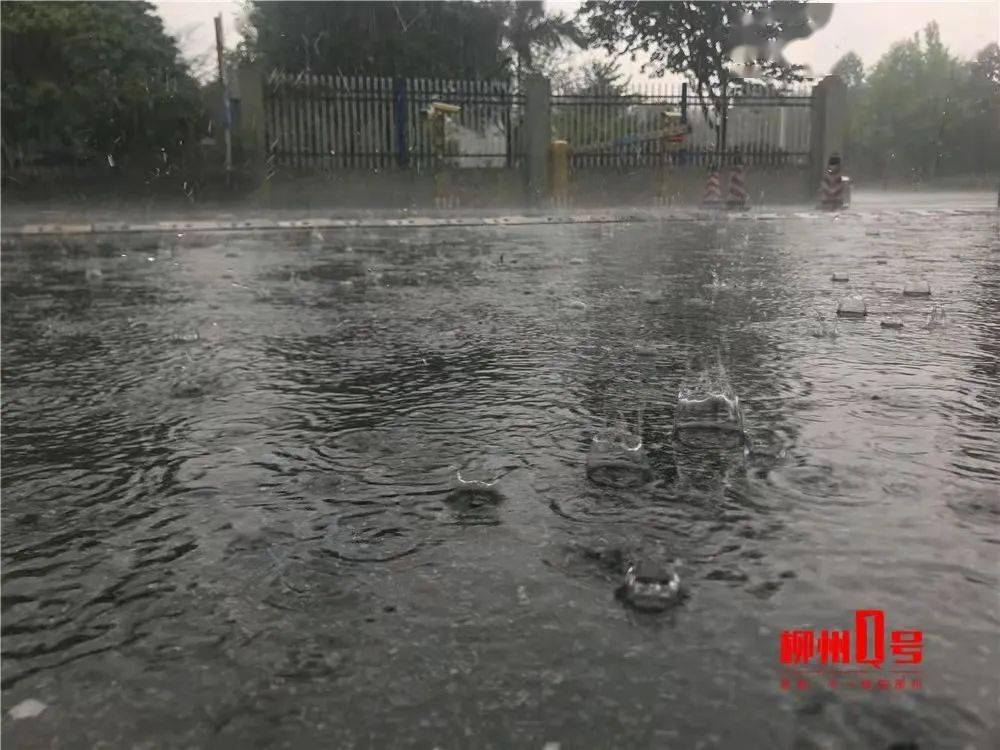 小雨中雨大雨暴雨柳州阴雨天周末上线