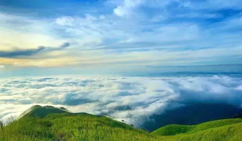 探秘萍乡户外天堂旅游度假区云顶景区寻幽谷之韵赏古木之风华