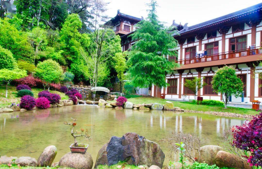 瓯江潮漫游禅意山居安福寺的心境体验