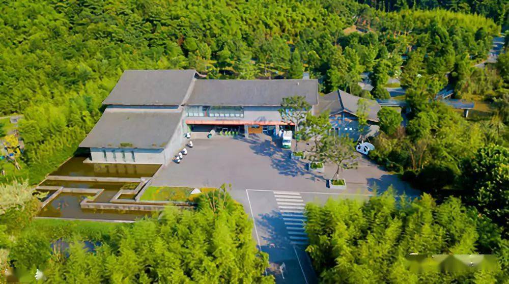 熊猫乐园03地址:青城道茶观光园来青城道茶观光园享一场踏青采茶之旅
