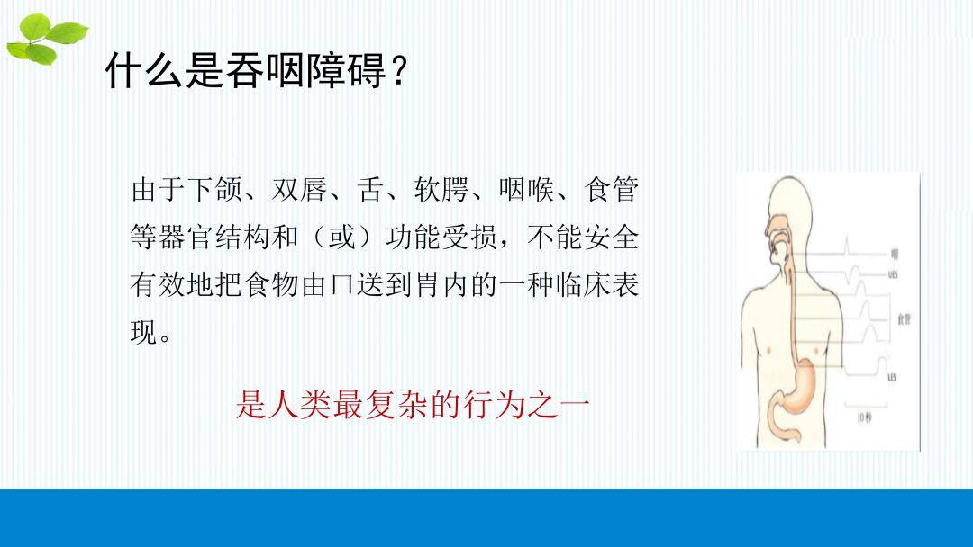 ppt吞咽障碍患者摄食指导