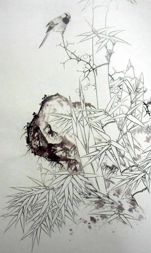 工笔竹子雨后新绿深深被它吸引了