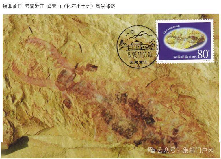 澄江生物群位于我国云南澄江帽天山附近,产出地层为云南下寒武统筇竹