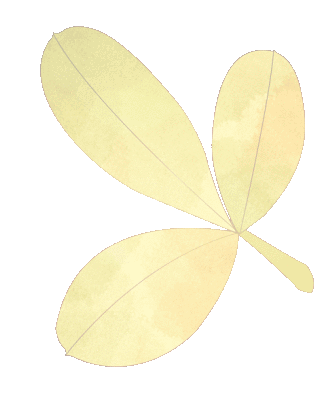 momentsinfebruary丨shanghaidailyjingannews