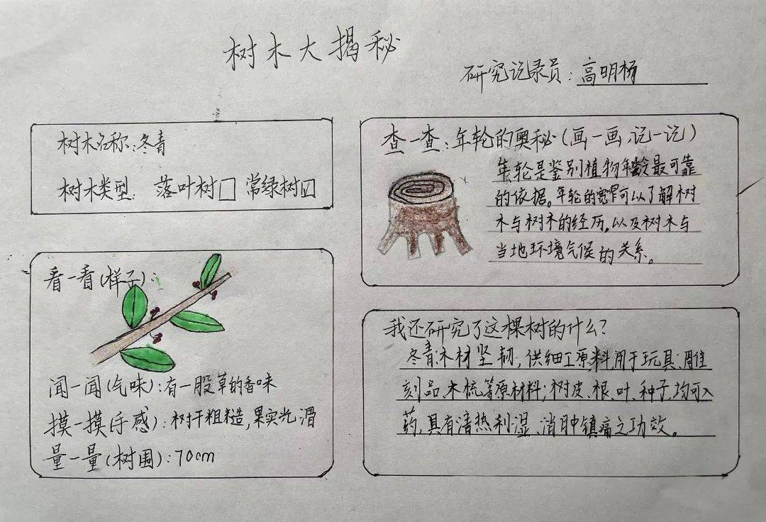 101个植物的实验读后感图片