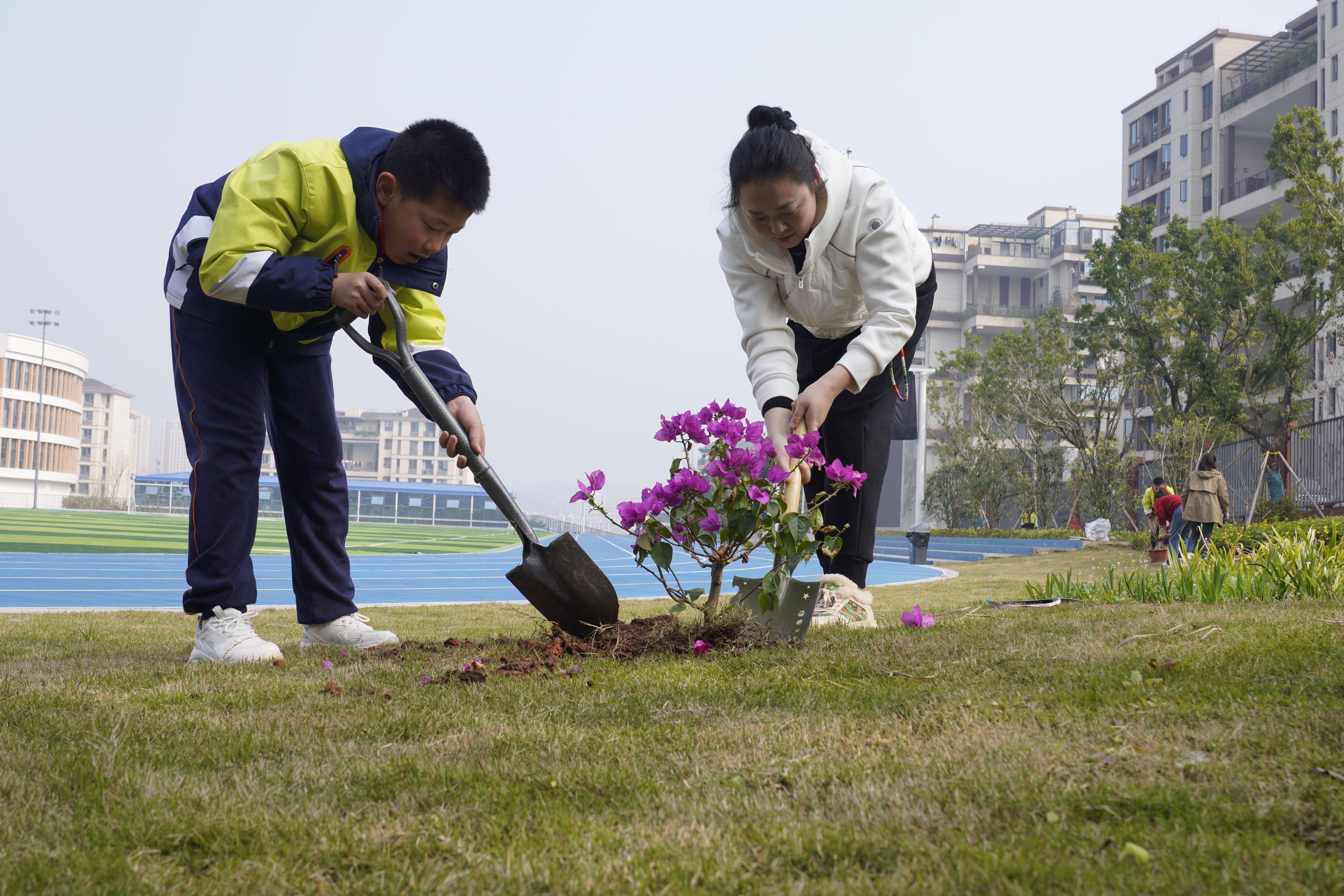 迎接植树节