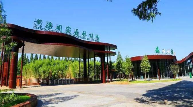 山水确定成行自组团3月1617日美食东台安丰古镇黄海森林公园条子泥