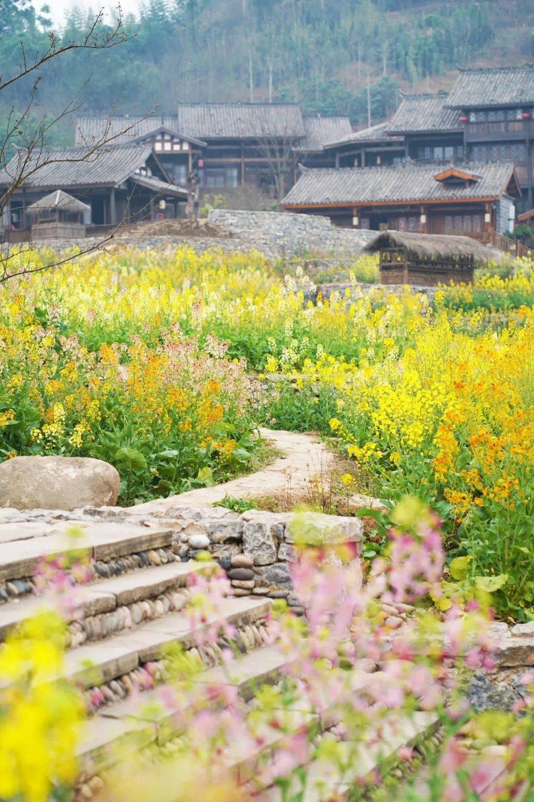 宜宾绝美花海地图来啦!快去拍!