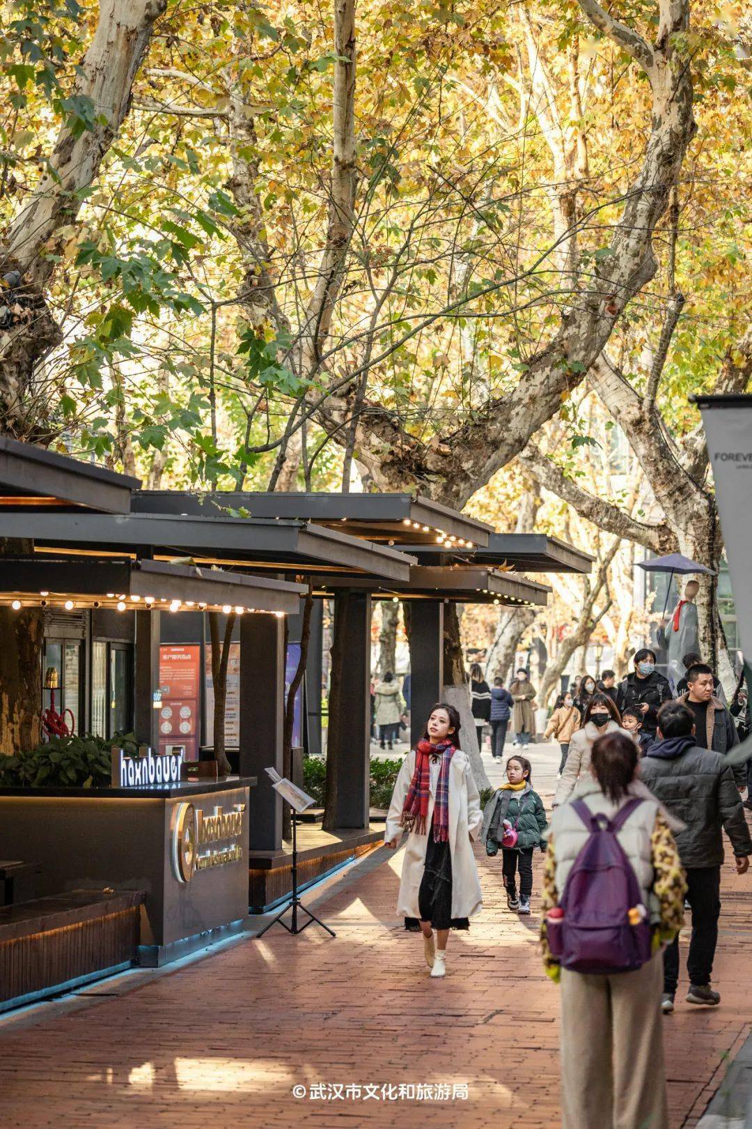 樱花季极限打卡武汉,免费带玩?