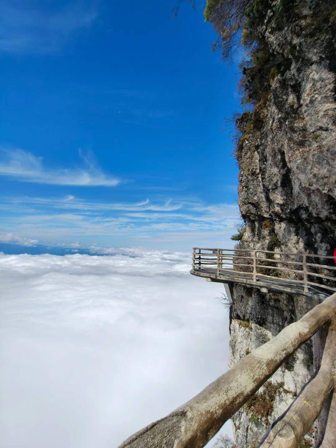 所有人龙头山限时免门票活动又双叒来喽