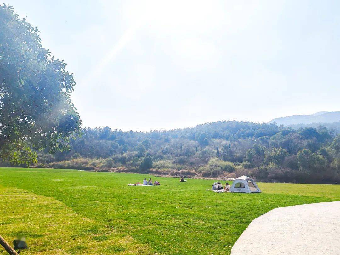 又来一个新的打卡地庐山市这个新公园太火了吧