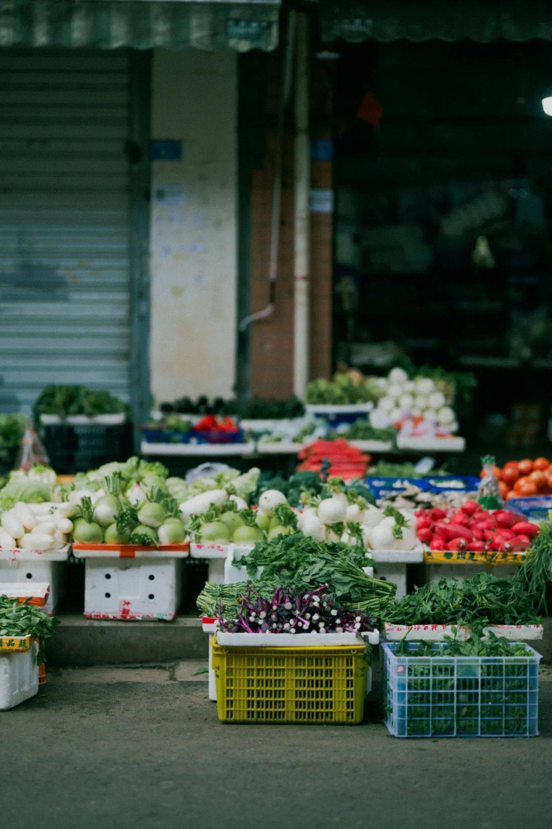 景明器材ii贴近生活用zf捕捉松弛感人像街拍