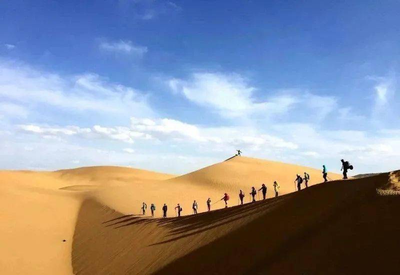 电影蒙古沙漠图片