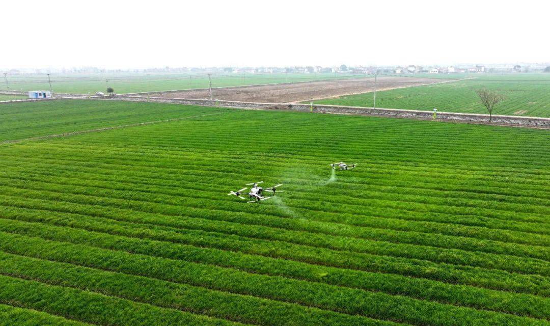 2024年我县农村公路提质改造项目42个7342公里丨早安庐江