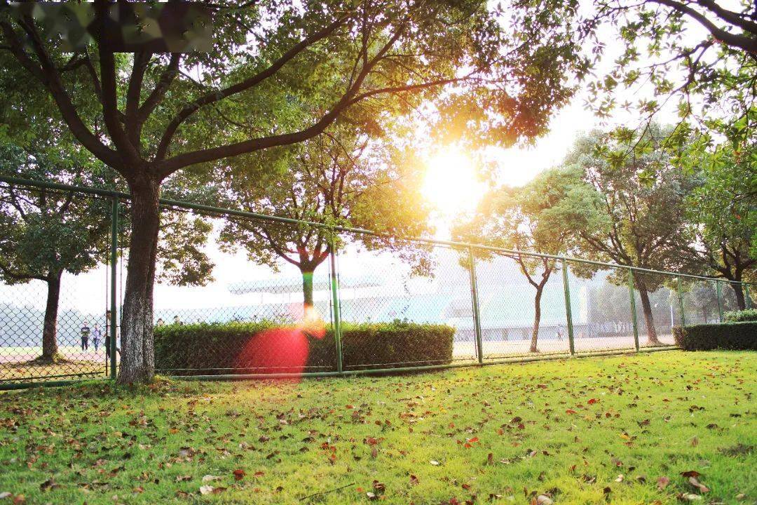 2024年宁波城市职业技术学院高职提前招生章程