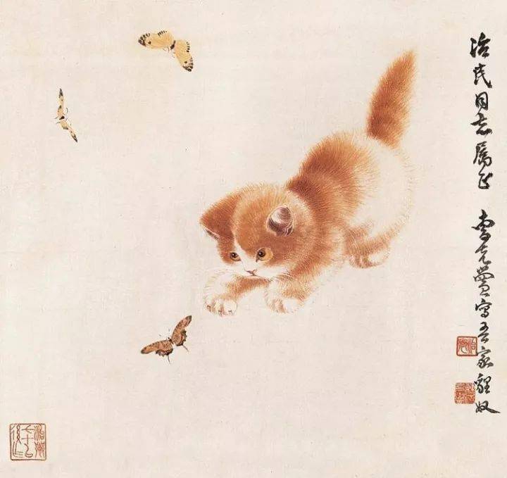 李可染画的猫图片