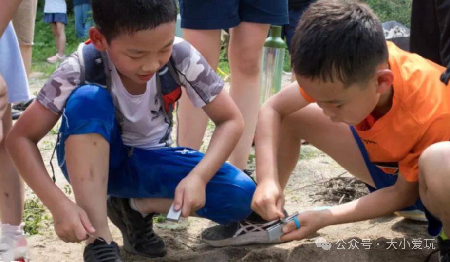 春日大作戰西郊線仿真駕駛奶牛場餵養植樹雙語野外生存變身企鵝飼養員