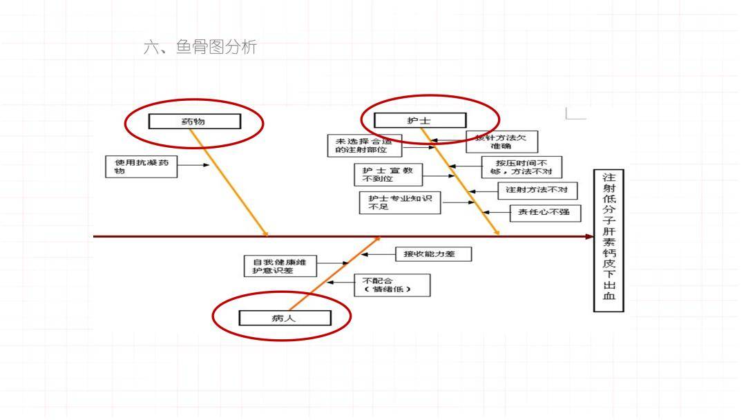 考研成功鱼骨图图片