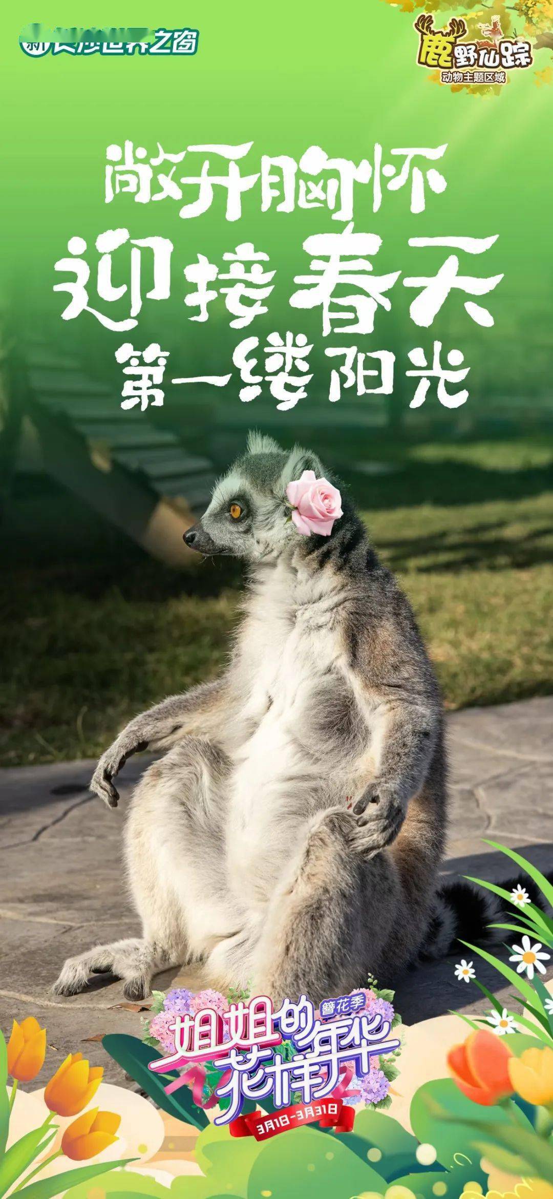 萌宠乐园也发来春的邀约阳光暖暖,鲜花盛开(以上为部分待认养动物介绍