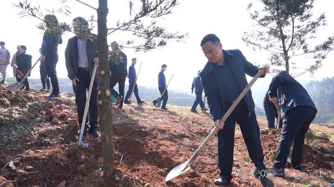 县四大家领导带头开展义务植树活动_芷江_梁志平_生态