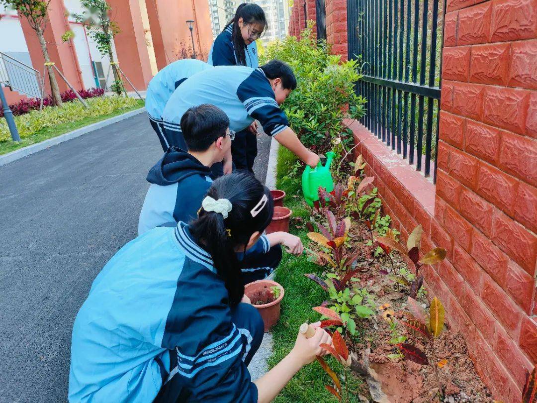 青绿,拥抱春天——南宁市青秀区各学校开展植树活动_树苗_小学_幼儿园