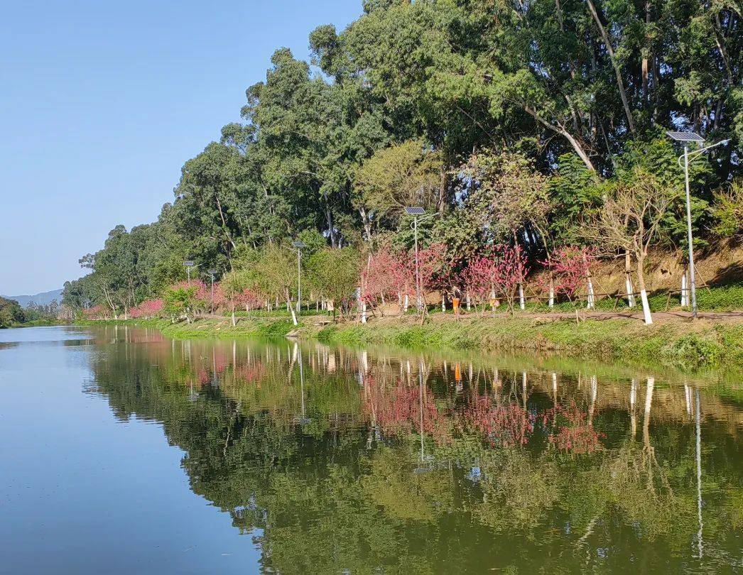 十里桃花浪漫启幕,一同"桃"醉在翔安的春天里_蔡塘_风景画_地址