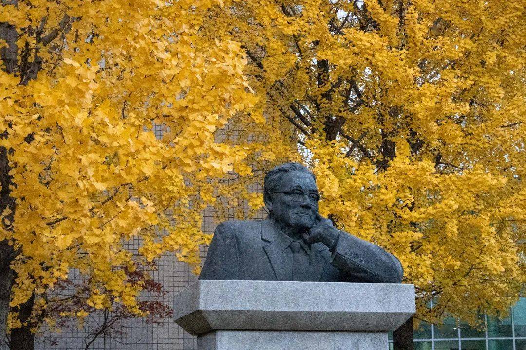 感谢ta们,陪我们走过美好四季_华农人_校园_树木