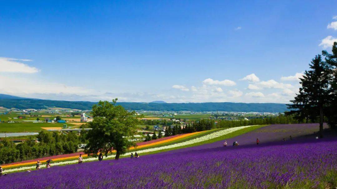 农旅融合全图谱7大模式30种类型