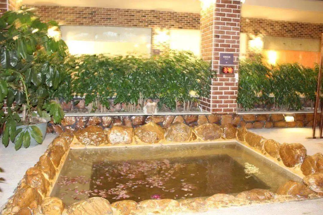 广州从化毅华温泉酒店私家温泉公共温泉双享受赠送自助晚餐或无花果鸡