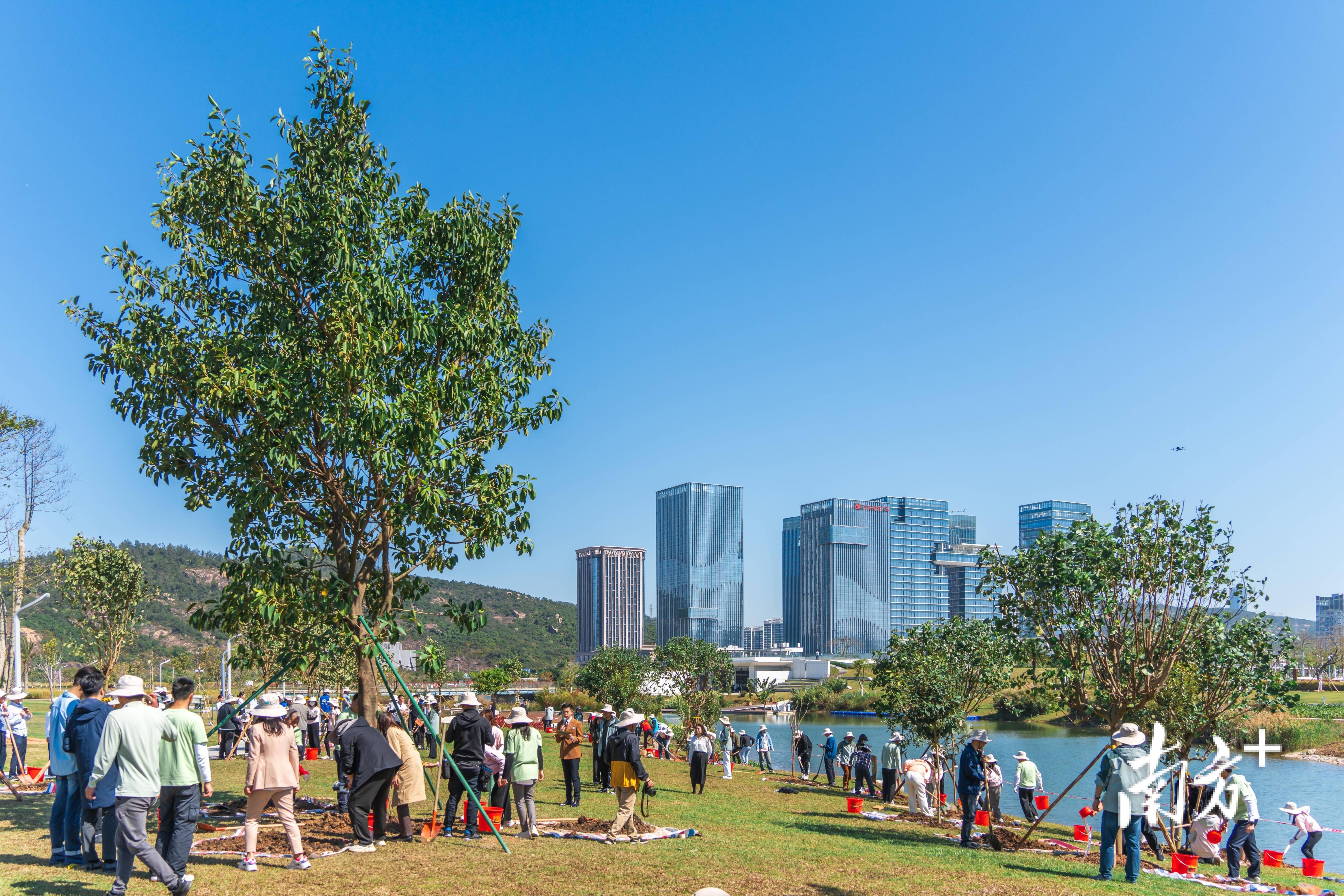 首次推出万树计划第二届横琴自然周开幕