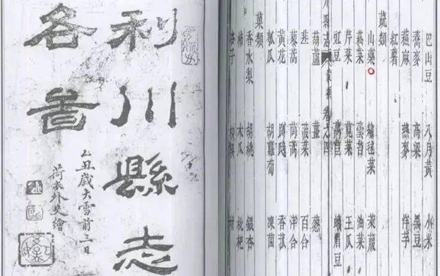 《明史·土司列传》和清同治版《利川县志》都早有记载.