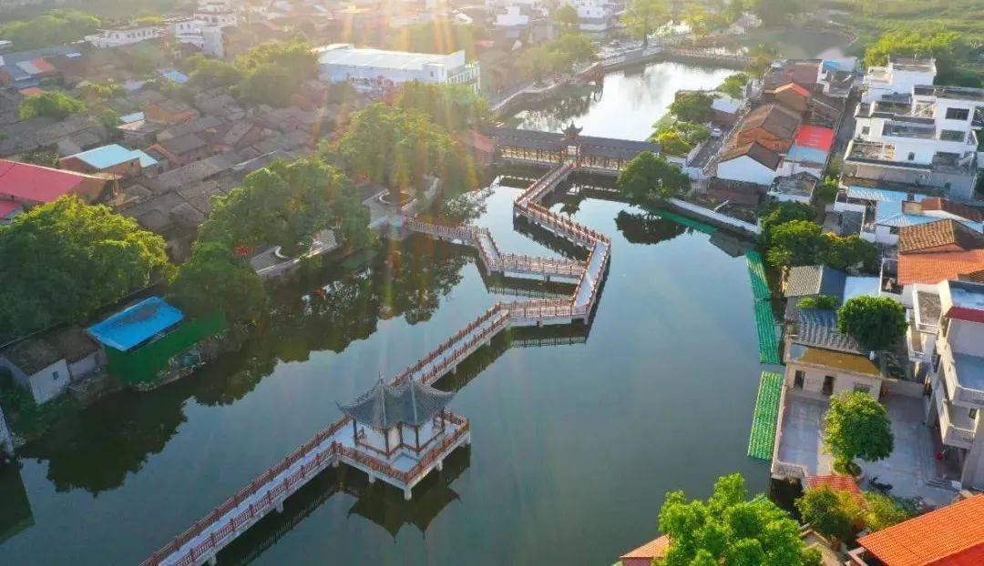 石湾镇致全镇人民的倡议书促进人居环境整治