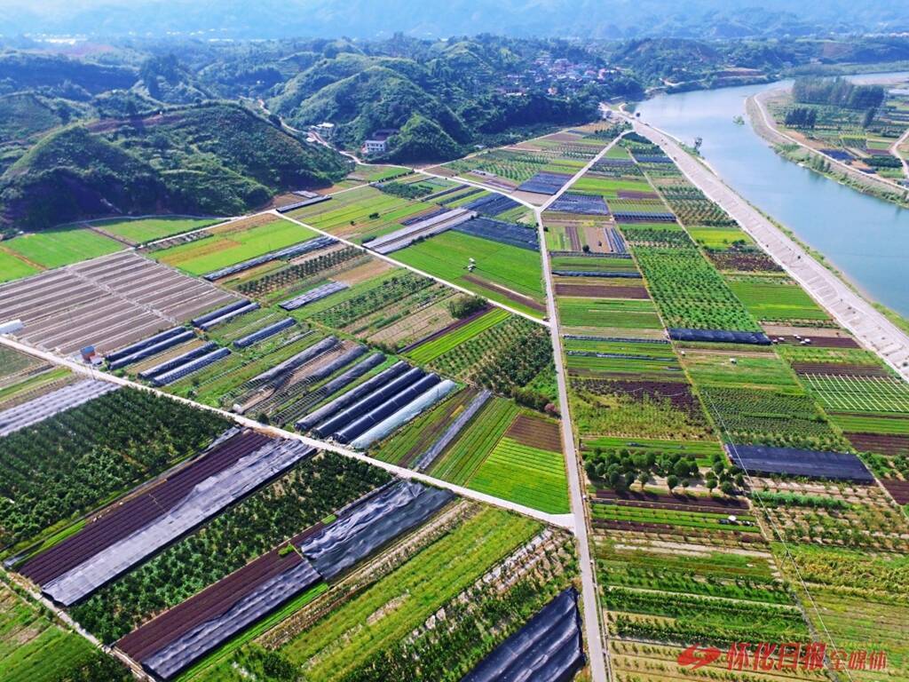 怀化55基地图片