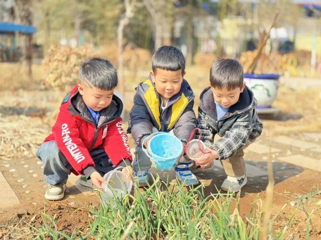 小朋友种树照片图片